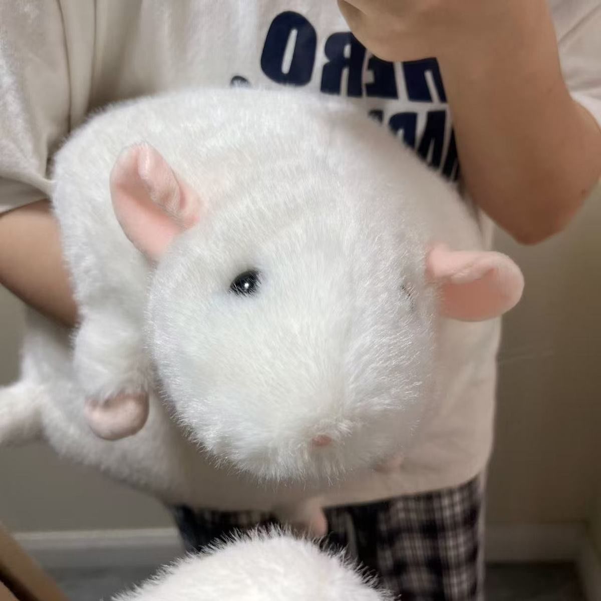 Plush Mouse Toy