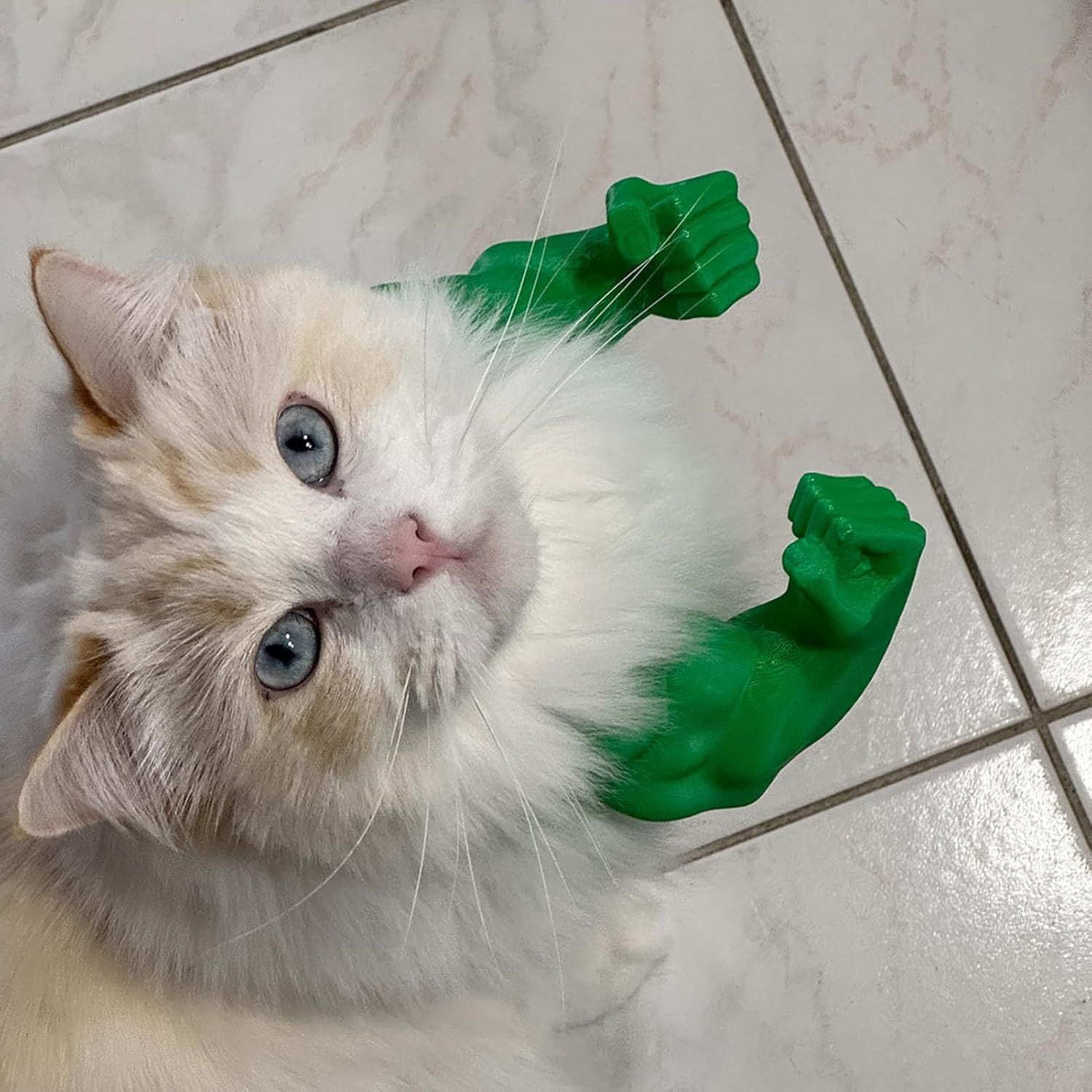 Cat Muscle Arm Decoration