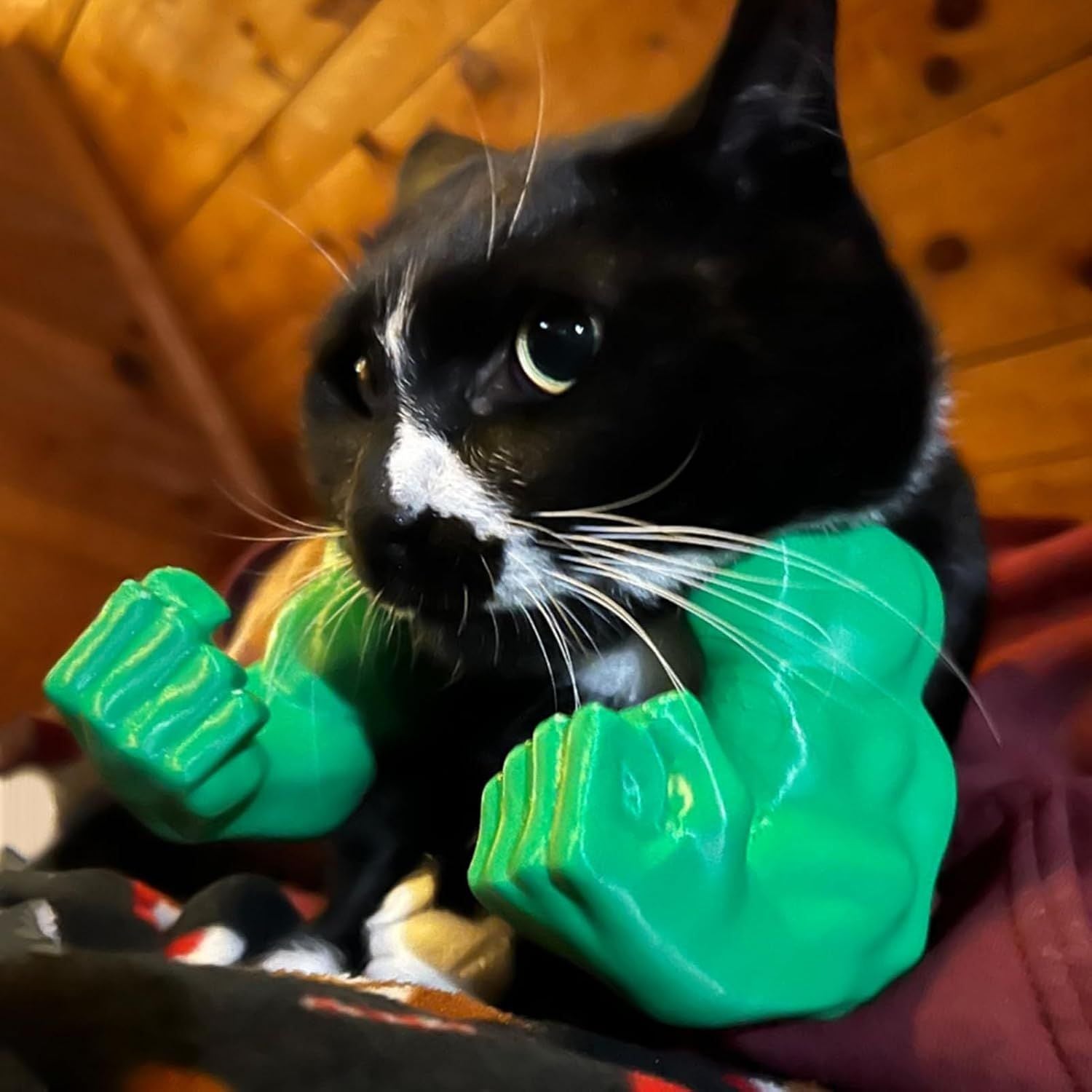 Cat Muscle Arm Decoration