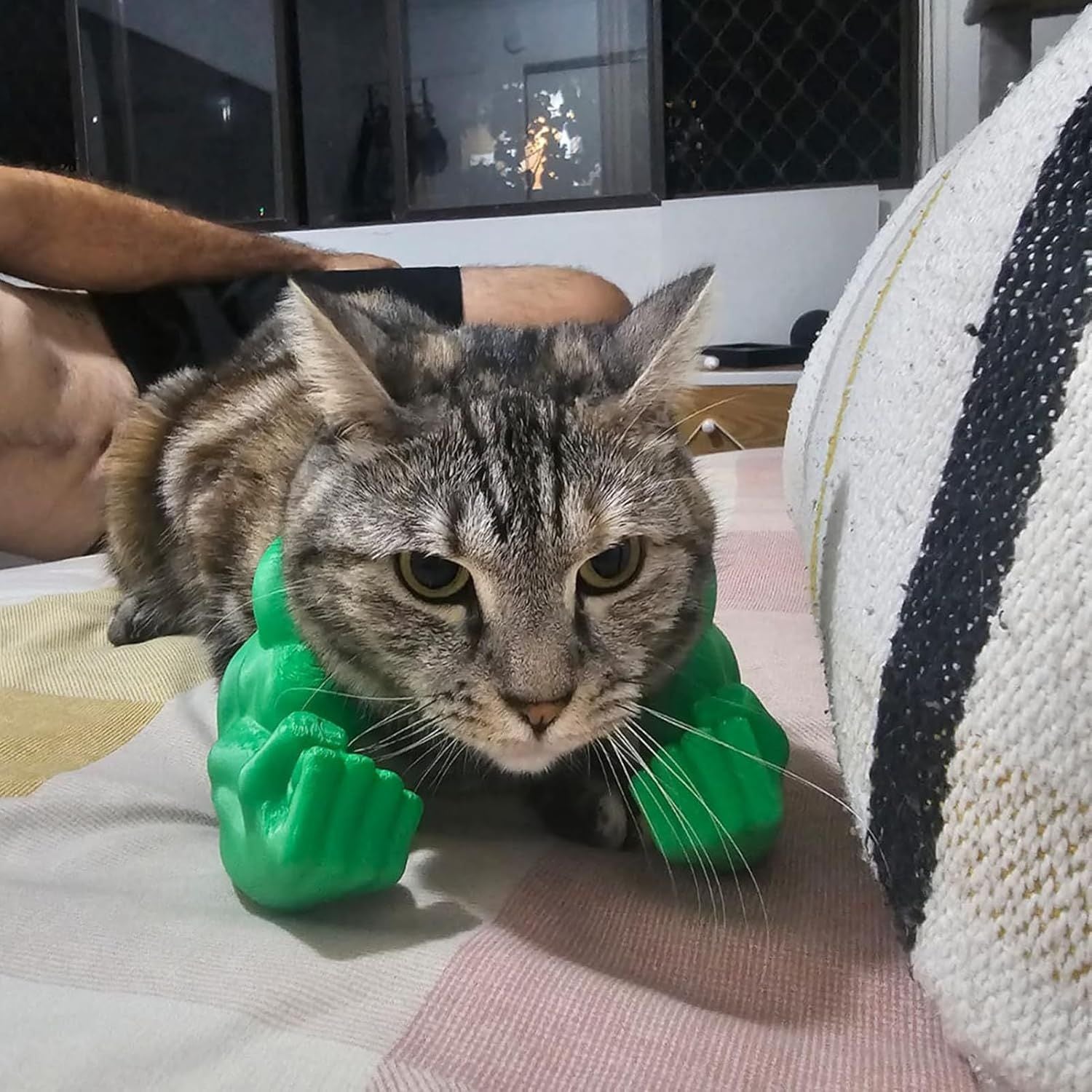 Cat Muscle Arm Decoration