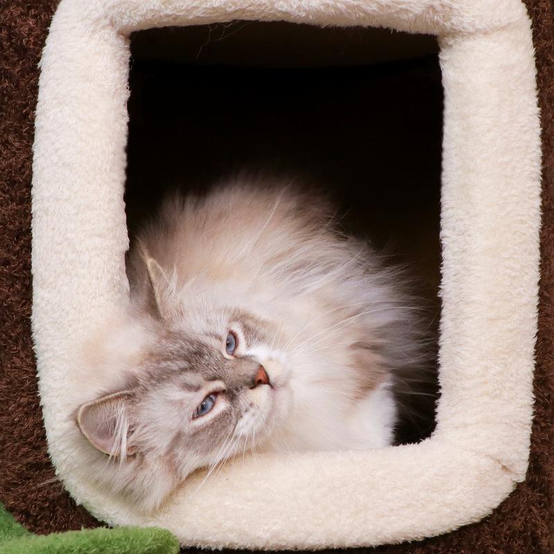 Giant Mushroom Cat Tree