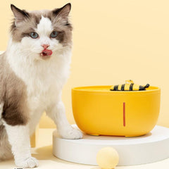 Honey Bee Cat Water Fountain