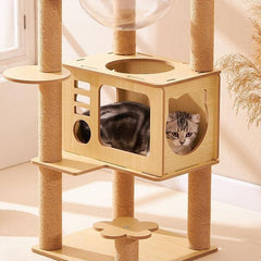 Multi-Level Cat Tree