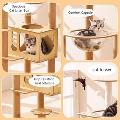Multi-Level Cat Tree