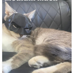 Bat Cat Avenger Mask