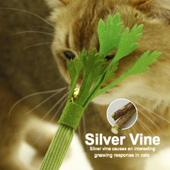 Celery Silver Vine Cat Chew Interactive Toy