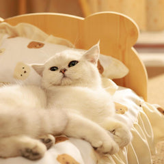 Little Bear Cat Bed