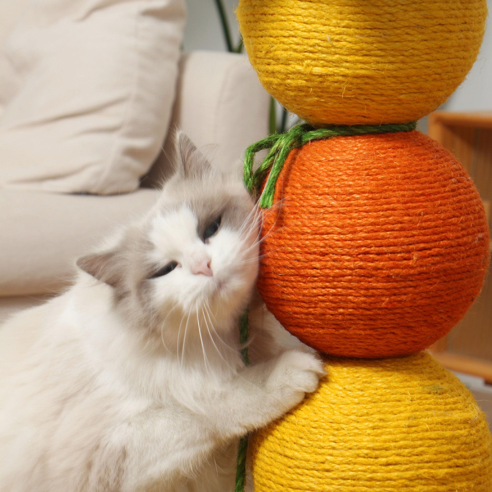 Candied Hawthorn Cat Scratcher