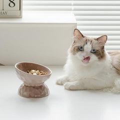 Ceramic Textured Elevated Cat Bowl