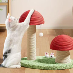 Red Mushroom Cat Scratcher