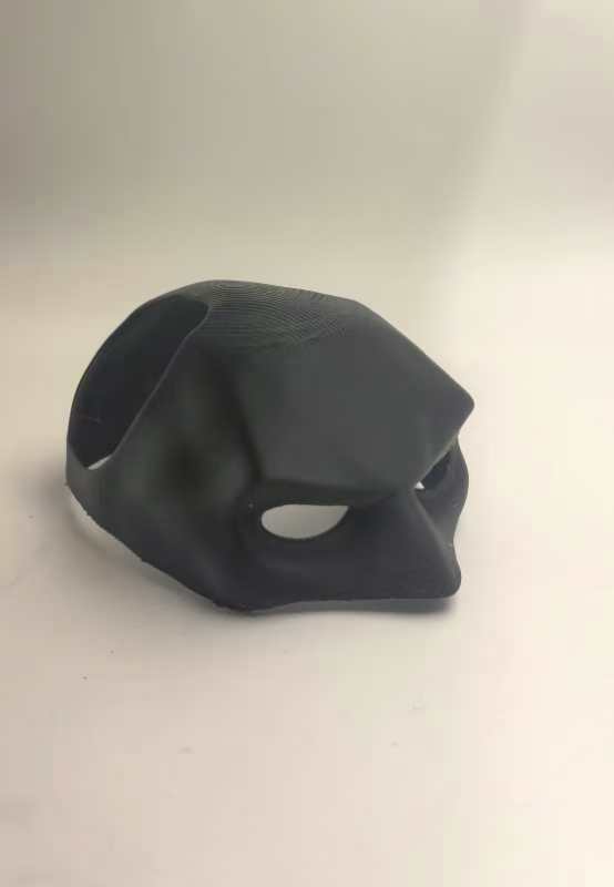 Bat Cat Avenger Mask
