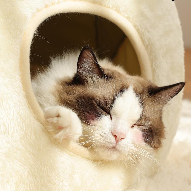 Little Frog Cat Bed