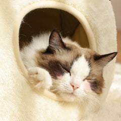 Little Frog Cat Bed