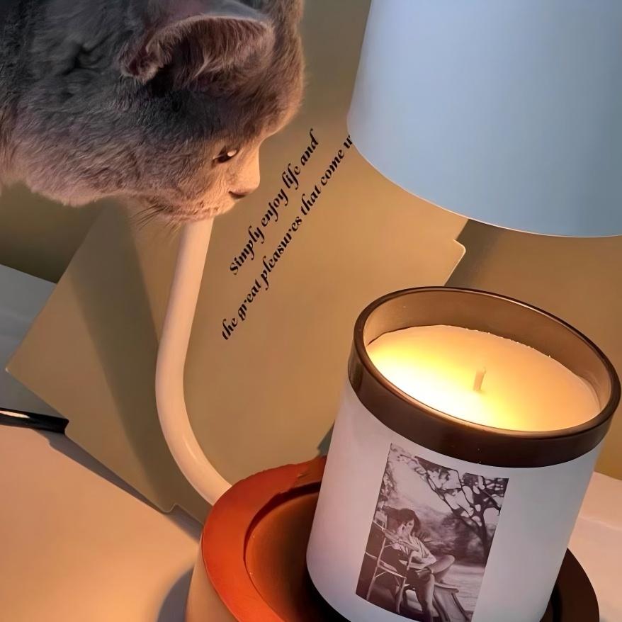Minimalist candle warmer lamp with solid wood base beside a curious cat and a softly glowing candle
